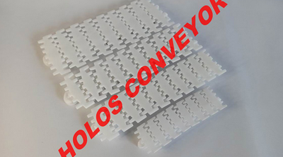 柔性鏈板輸送機(jī)流水線有什么特點(diǎn)？