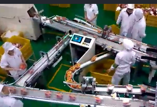 當輸送帶出現(xiàn)跑偏后，怎么辦？